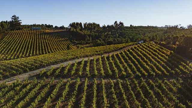 Yoga, meditation and regional flavors