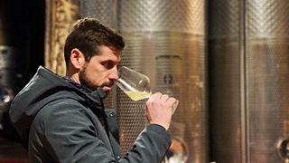Esperienza enologica completa alle Cantine De Gregorio