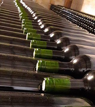 Weinprobe und Tour bei Vignobles Lavau