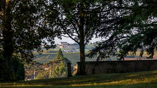 Cata de vinos y visita al Château de l'Éclair