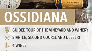 Degustação de vinhos e almoço/jantar leve "Ossidiana"