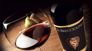 Premium-Weinprobe und Tour in der Fattoria Castelvecchio