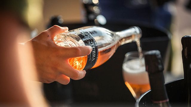 Degustazione Vini e Tour a Turra Franciacorta