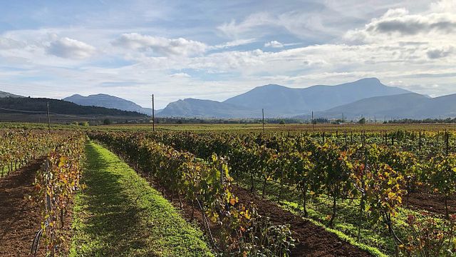 Domaine Nikolaou