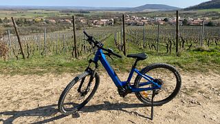 Dos horas de alquiler de bicicleta eléctrica de montaña | Visita y cata de vinos en Maison Lelievre