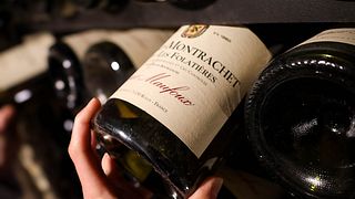 Grands Crus Experience : Visit of the caves & Tasting of 3 Grands Crus