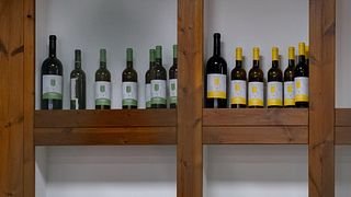 Weinprobe von S. Caetano-Weinen im Quinta da Torre