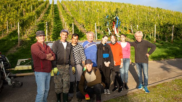Menu degustazione vini presso Weingut Erben von Beulwitz