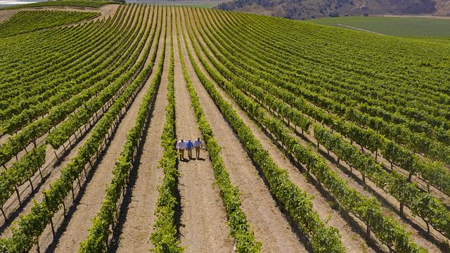 Degustação de vinhos e tour em Bien Nacido & Solomon Hills Estate