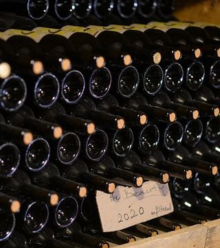 Degustação de vinhos/Tour e jantar na Casa dos Vinhos Alluria