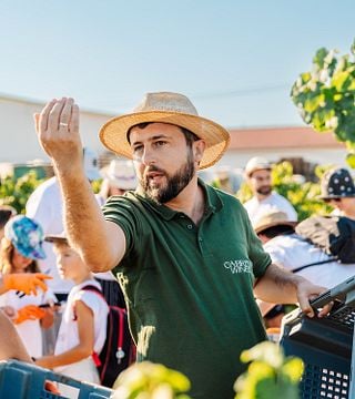 Tour dei vini Cabrita: panorami mozzafiato, degustazione di 3 vini classici