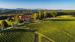 Dégustation de vins et visite du Herrenhof Lamprecht