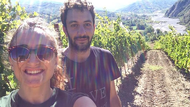 Wine Tasting and Tour at Poggio Azienda Vinicola