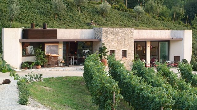 Winery tour, wine tasting with lunch or dinner at Contrà Soarda 