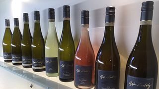 Degustazione di vini e visita alla Weingut Gebr