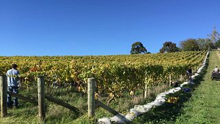 Hopesgrove Winery