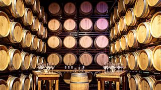 Degustazione di vini e visita alle Bodegas Viña Mayor