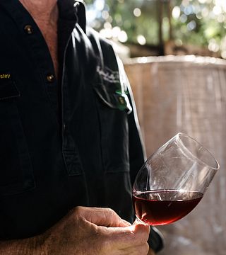 Degustazione di vini e tour a Fighting Gully Road