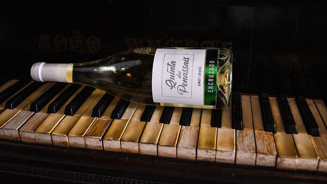 Quinta dos Penassais
