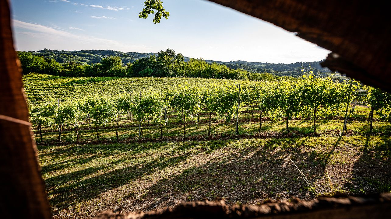 Discovering Conegliano Valdobbiadene!
