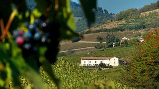 Weinprobe und Führung im Domaine Joncy