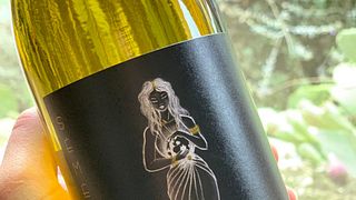 Degustazione di vini al Clos de Noël