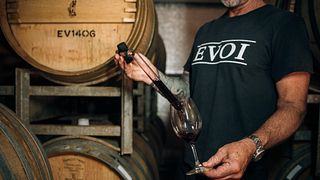 Degustação de vinhos e tour na vinícola Evoi