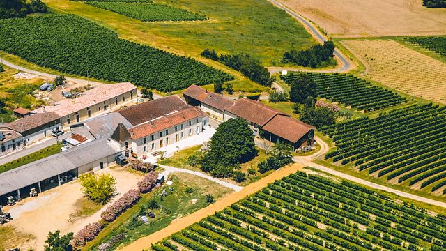 Degustação de vinhos e tour no Château de Cranne