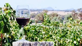 Western Australia Wine Tasting at Trevelen Farm