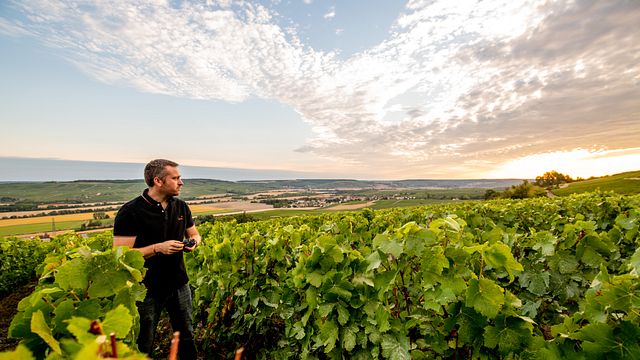 Degustazione di 3 Champagne