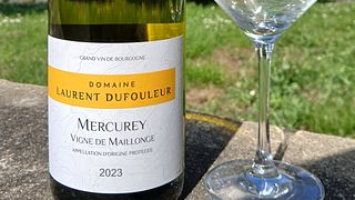 Burgundy Wine & Vineyard Immersion