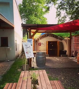 Cata de vinos guiada en Víno Pristál