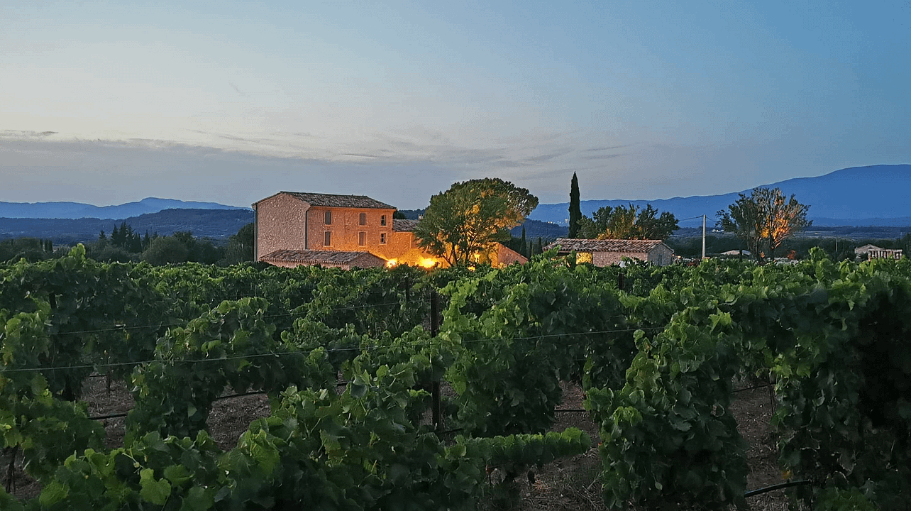 Domaine du Chat Blanc