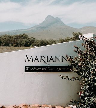 Maridaje de vino y biltong en Marianne Wine Estate