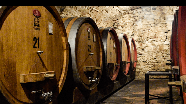 Cata de vinos de Valpolicella