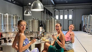 Degustazione in Cantina, 5 vini / Bell Cros