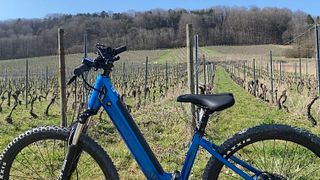 Lorraine E-MTB Vineyard Ride & Wine Tasting