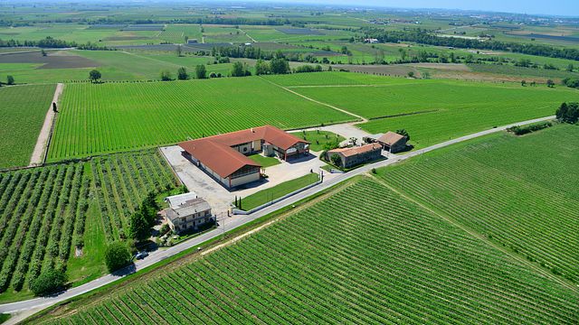 Azienda Agricola Albino Piona