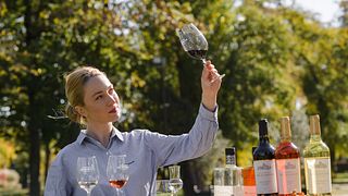 Tour & Classics' Range Degustação de vinhos – 4 vinhos