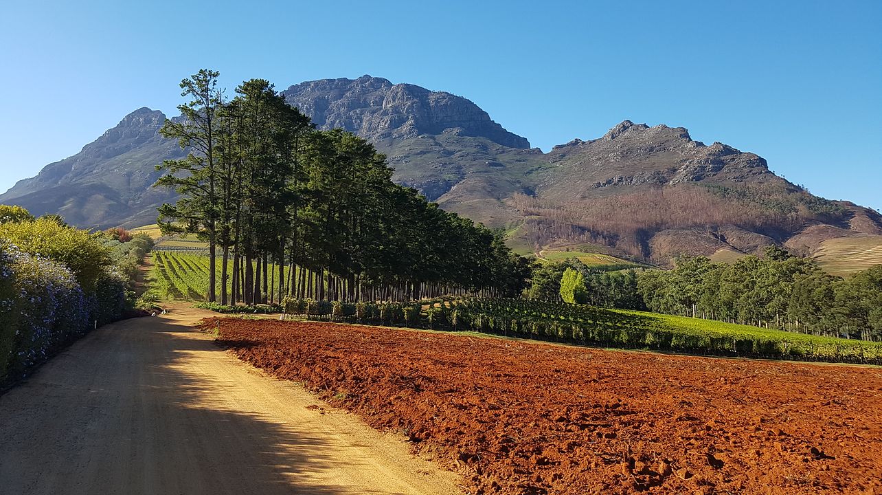 Tour Privado de Vinhos na África do Sul
