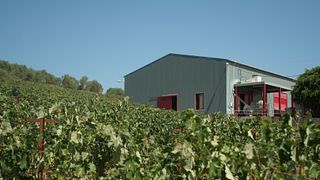 Harmonização de vinhos e queijos na vinícola Klados