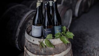 Classic Tasting
