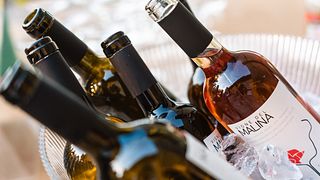 Vigne del Malina: A Taste of Friuli-Venezia Giulia
