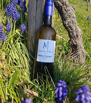 Mannschreck Weine