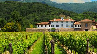 Volpe Pasini Winery