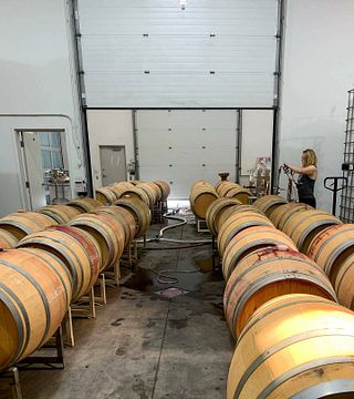 Degustazione di vini e tour alle cantine Dunham