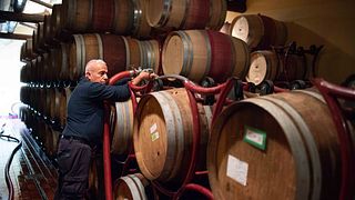 Cata de vinos "inteligente" | Cafaggio
