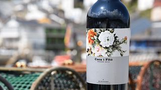 Vinprovning och rundtur på Coca i Fitó