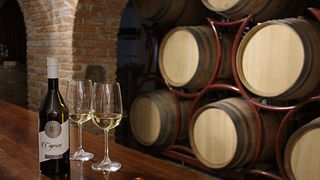 Cata de vinos y visita a La Rajade