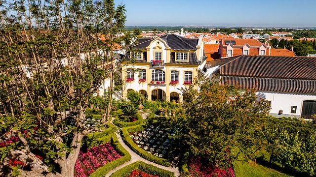 Premium Wine Tasting and Tour at José Maria Da Fonseca Manor House